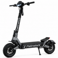 Electric Scooter X1 500W